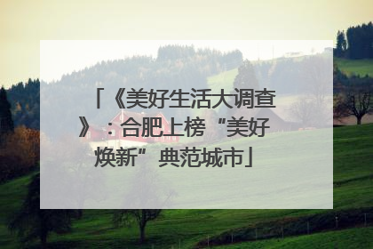 《美好生活大调查》：合肥上榜“美好焕新”典范城市