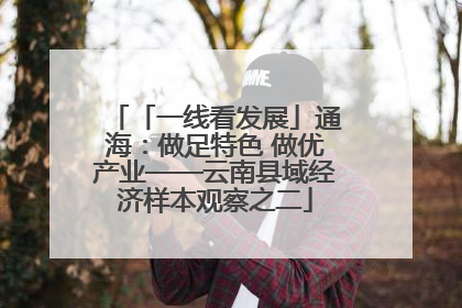 「一线看发展」通海：做足特色 做优产业——云南县域经济样本观察之二