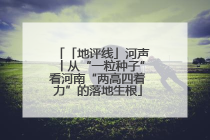 「地评线」河声丨从“一粒种子”看河南“两高四着力”的落地生根