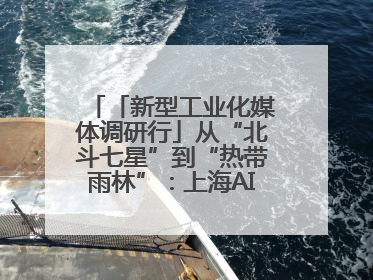 「新型工业化媒体调研行」从“北斗七星”到“热带雨林”：上海AI生态的技术商业共生密码