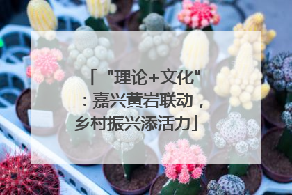“理论+文化”：嘉兴黄岩联动，乡村振兴添活力
