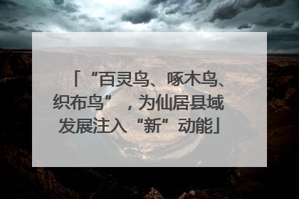 “百灵鸟、啄木鸟、织布鸟”，为仙居县域发展注入“新”动能
