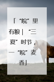 “皖”里有粮｜“三夏”时节，一“皖”麦香