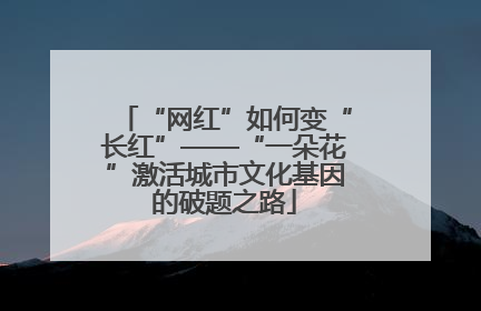 “网红”如何变“长红”——“一朵花”激活城市文化基因的破题之路