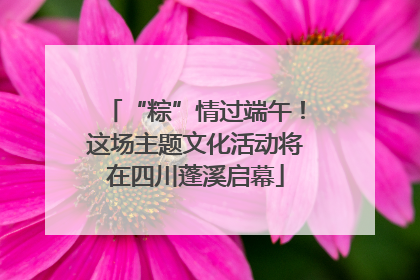 “粽”情过端午！这场主题文化活动将在四川蓬溪启幕