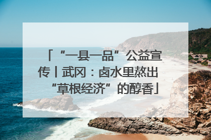 “一县一品”公益宣传丨武冈：卤水里熬出“草根经济”的醇香
