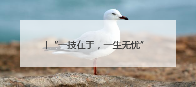 “一技在手，一生无忧” 民勤职教活动周精彩纷呈