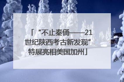 “不止秦俑——21世纪陕西考古新发现”特展亮相美国加州