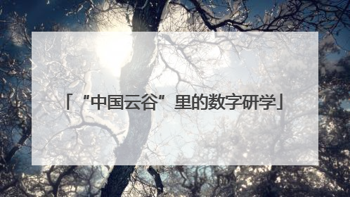 “中国云谷”里的数字研学
