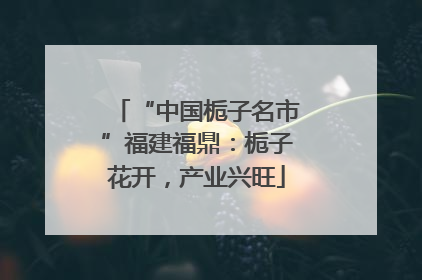 “中国栀子名市”福建福鼎：栀子花开，产业兴旺