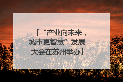 “产业向未来，城市更智慧”发展大会在苏州举办
