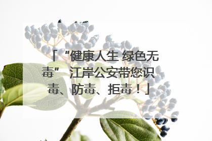 “健康人生 绿色无毒” 江岸公安带您识毒、防毒、拒毒！