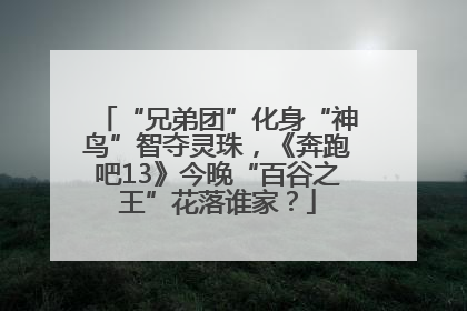 “兄弟团”化身“神鸟”智夺灵珠，《奔跑吧13》今晚“百谷之王”花落谁家？