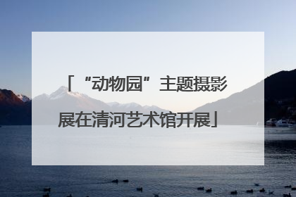 “动物园”主题摄影展在清河艺术馆开展