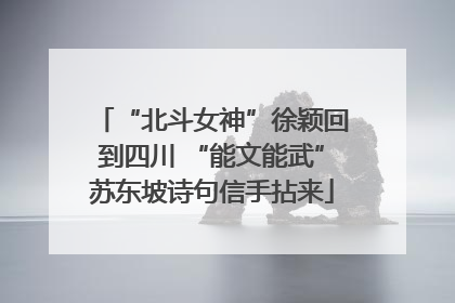 “北斗女神”徐颖回到四川 “能文能武”苏东坡诗句信手拈来
