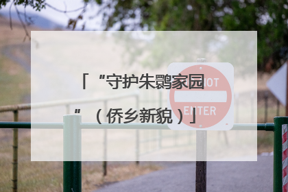 “守护朱鹮家园”（侨乡新貌）