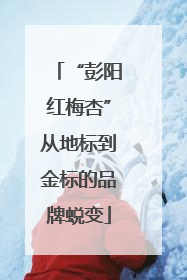 “彭阳红梅杏”从地标到金标的品牌蜕变