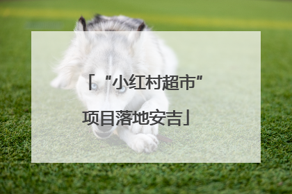“小红村超市”项目落地安吉