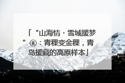 “山海情・雪域援梦”⑧：青稞变金稞，青岛援藏的高原样本