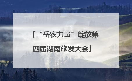 “岳农力量”绽放第四届湖南旅发大会