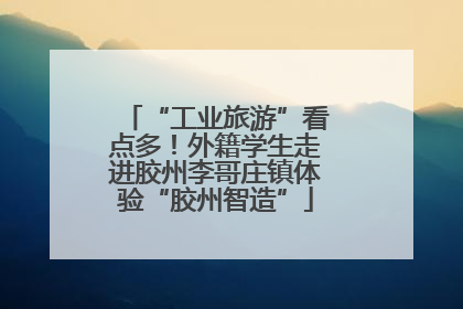 “工业旅游”看点多！外籍学生走进胶州李哥庄镇体验“胶州智造”