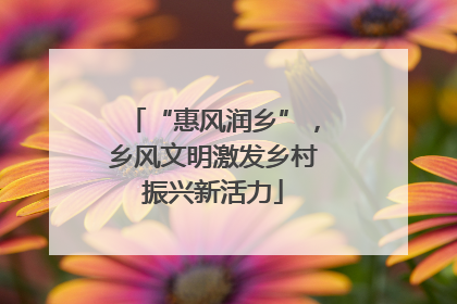 “惠风润乡”，乡风文明激发乡村振兴新活力