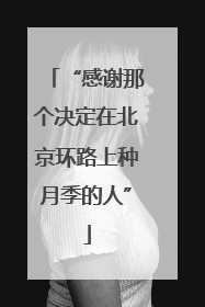 “感谢那个决定在北京环路上种月季的人”