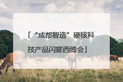 “成都智造”硬核科技产品闪耀西博会