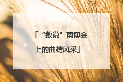 “数说”南博会上的曲靖风采