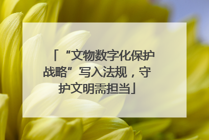 “文物数字化保护战略”写入法规，守护文明需担当