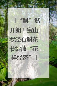“斛”然开朗！宝山罗泾石斛花节绽放“花样经济”