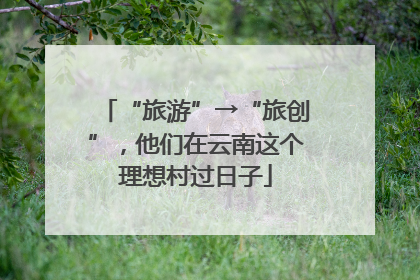 “旅游”→“旅创”，他们在云南这个理想村过日子
