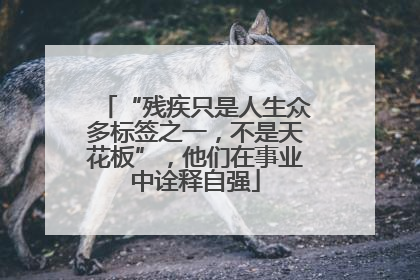 “残疾只是人生众多标签之一，不是天花板”，他们在事业中诠释自强