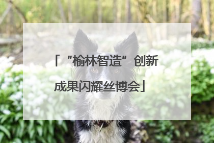 “榆林智造”创新成果闪耀丝博会