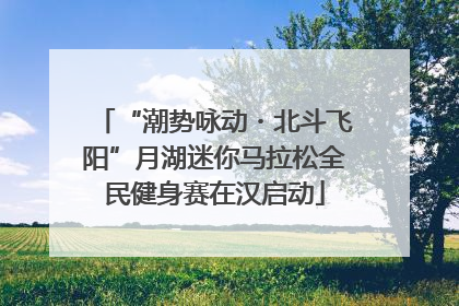 “潮势咏动・北斗飞阳”月湖迷你马拉松全民健身赛在汉启动