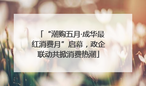 “潮购五月·成华最红消费月”启幕，政企联动共掀消费热潮