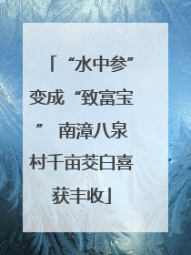 “水中参”变成“致富宝” 南漳八泉村千亩茭白喜获丰收