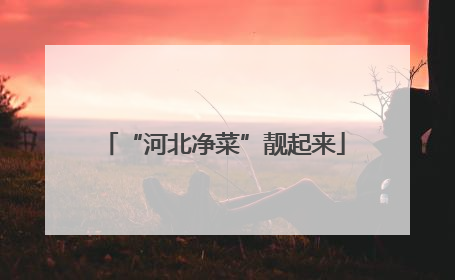 “河北净菜”靓起来