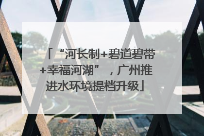 “河长制+碧道碧带+幸福河湖”，广州推进水环境提档升级