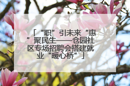 “职”引未来“惠”聚民生——仓园社区专场招聘会搭建就业“暖心桥”