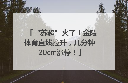 “苏超”火了！金陵体育直线拉升，几分钟20cm涨停！