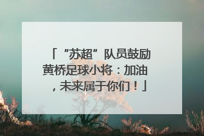 “苏超”队员鼓励黄桥足球小将：加油，未来属于你们！
