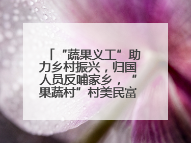 “蔬果义工”助力乡村振兴，归国人员反哺家乡，“果蔬村”村美民富香飘远近