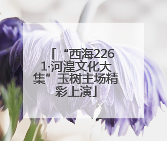 “西海2261·河湟文化大集”玉树主场精彩上演