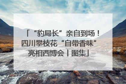 “豹局长”亲自到场！四川攀枝花“自带香味”亮相西博会丨图集