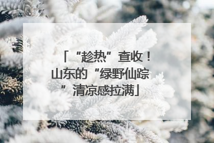 “趁热”查收！山东的“绿野仙踪”清凉感拉满