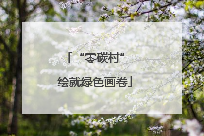 “零碳村” 绘就绿色画卷