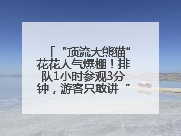 “顶流大熊猫”花花人气爆棚！排队1小时参观3分钟，游客只敢讲“悄悄话”