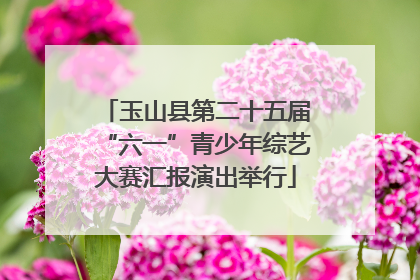 玉山县第二十五届“六一”青少年综艺大赛汇报演出举行