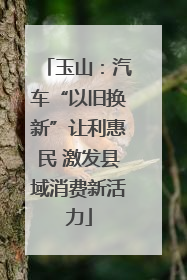 玉山：汽车“以旧换新”让利惠民 激发县域消费新活力